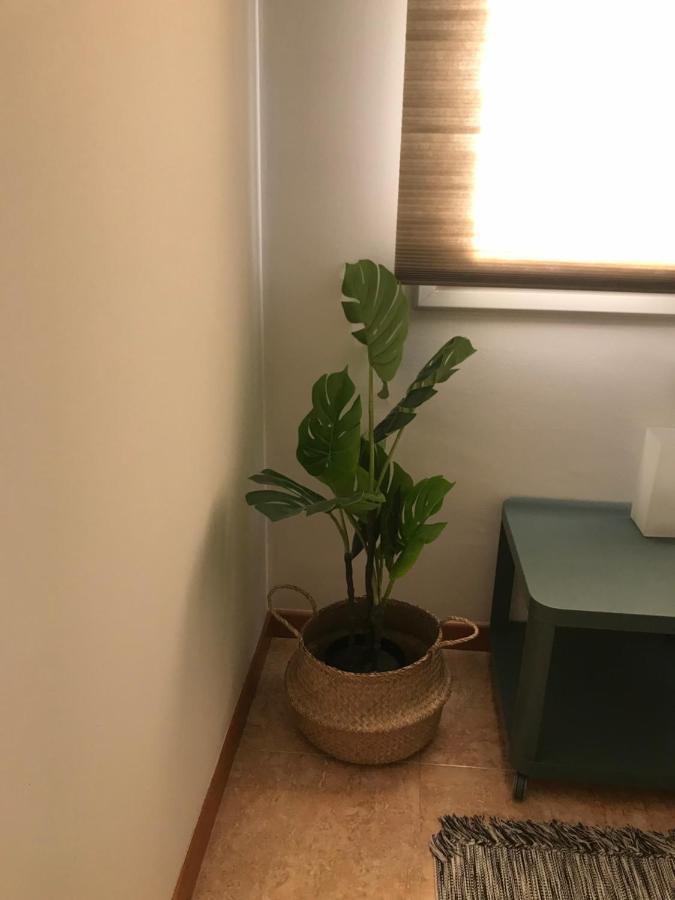 Apartamento recién reformado con vistas al río Balaguer Exterior foto